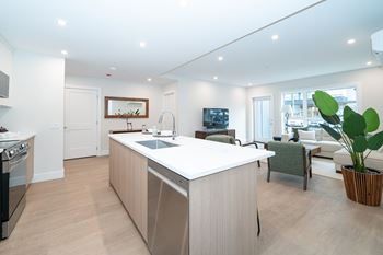 Quartz countertops